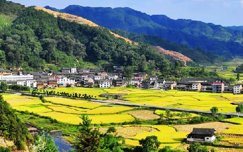祝賀仟億達(dá)集團與錦屏縣就林業(yè)碳匯項目達(dá)成合作